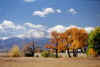 Fall trees and Longs Peak 2-small.jpg (60811 bytes)